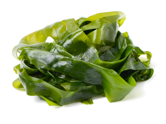 Los increíbles beneficios del Alga Espirulina