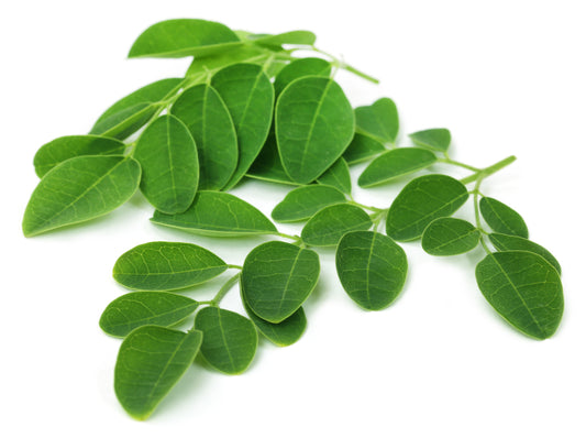 Moringa, un super alimento.