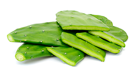 Nopal, beneficios para la salud y la estética humana.
