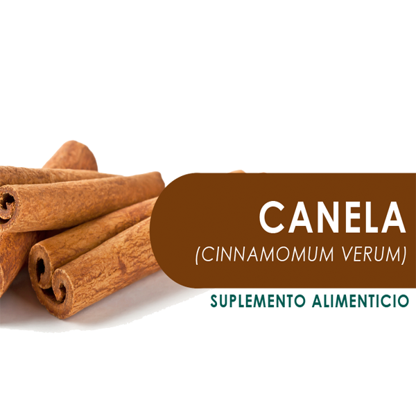 CANELA 90 Cápsulas de 500mg c/u bolsa ziplock