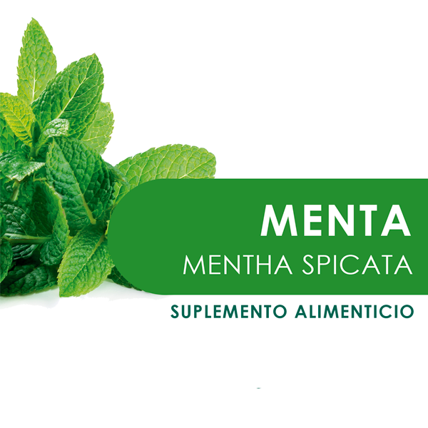 MENTA 90 Cápsulas de 400 mg c/u bolsa ziplock