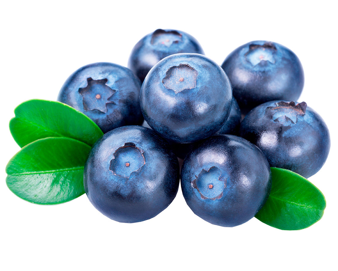 Blueberries o moras azules