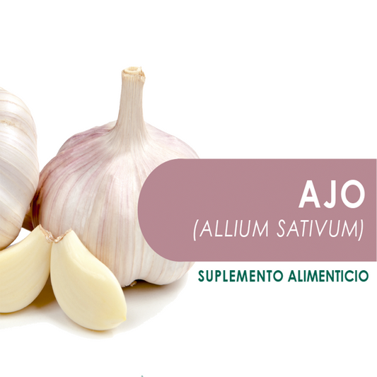 AJO 90 Cápsulas de 500mg c/u bolsa ziplock