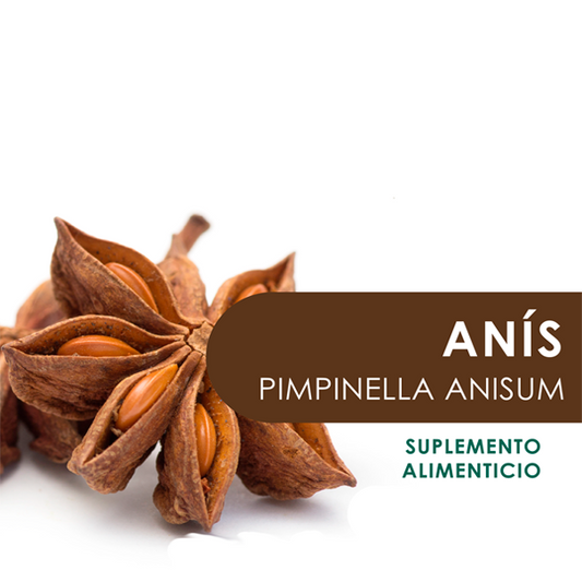 ANÍS 90 Cápsulas de 500mg c/u bolsa ziplock
