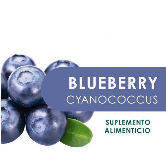 Blueberry (Mora Azul) 60 Cápsulas de 500 mg c/u bolsa ziplock