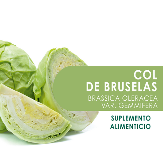 COL DE BRUSELAS  60 Cápsulas de 500mg c/u bolsa zipblock