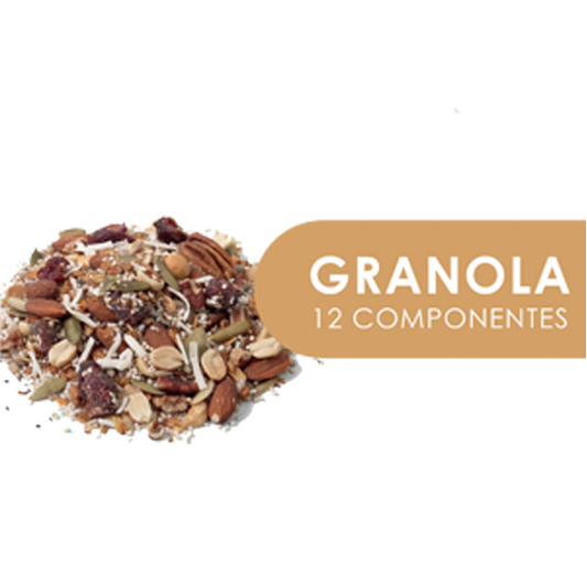 GRANOLA 12 componentes 500 g bolsa ziplock
