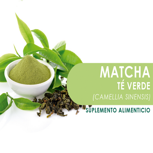 MATCHA - HOJAS DE TE VERDE  60 Cápsulas de 500mg c/u bolsa ziplock