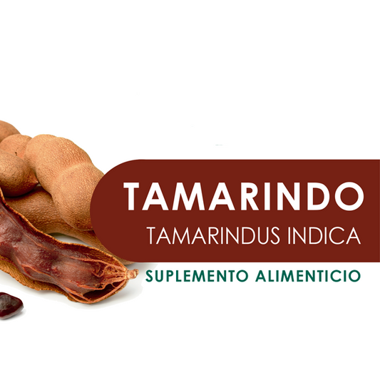 TAMARINDO 90 Cápsulas de 500 mg c/u bolsa ziplock