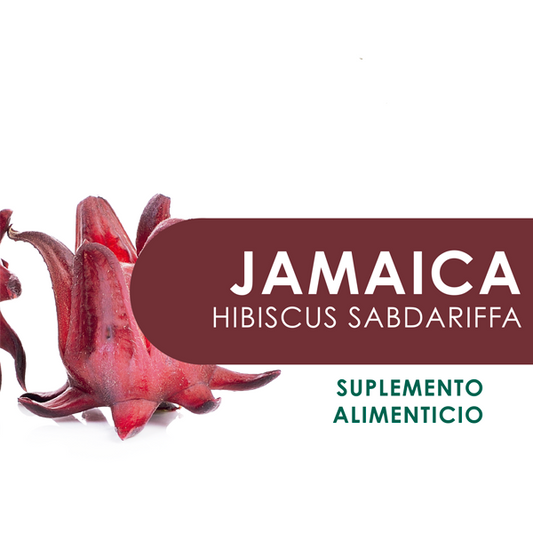 JAMAICA 90 Capsulas de 500 mg c/u bolsa ziplock