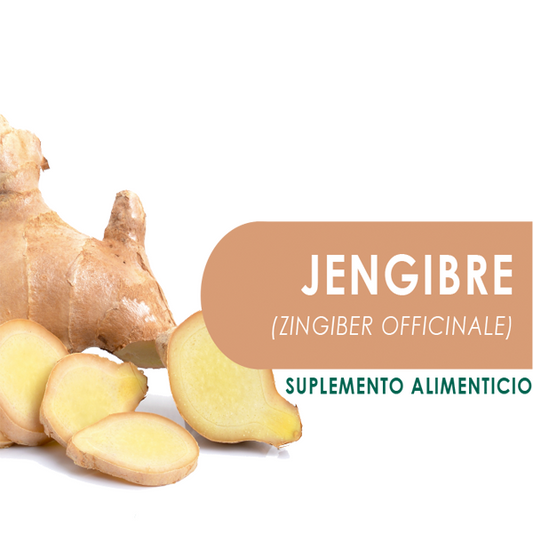 JENGIBRE  90 Cápsulas de 500mg c/u bolsa ziplock
