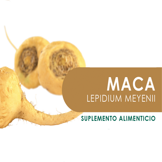 MACA  90 Cápsulas de 500mg c/u bolsa ziplock